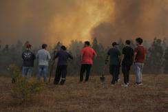 Toque de queda por incendios: en qué casos se necesita salvoconducto y cómo obtenerlo Toque de queda por incendios: en qué casos se necesita salvoconducto y cómo obtenerlo