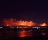 Incendio forestal en Dichato ocurre cerca de sectores poblados Incendio forestal en Dichato ocurre cerca de sectores poblados