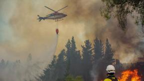 Incendios forestales: Gobierno confirma que identificó a empresario que se negó a dar agua en Yumbel Incendios forestales: Gobierno confirma que identificó a empresario que se negó a dar agua en Yumbel