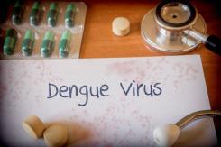 Perú emite alerta por "intensificación de la transmisión del dengue"