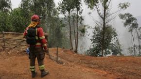 CorreosChile hará envíos sin costo para 25 comunas afectadas por incendios forestales CorreosChile hará envíos sin costo para 25 comunas afectadas por incendios forestales