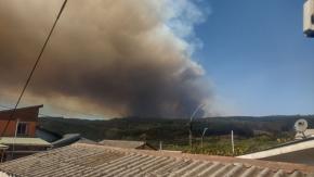 Senapred ordena evacuaciones en sectores de Coronel producto de incendio forestal Senapred ordena evacuaciones en sectores de Coronel producto de incendio forestal