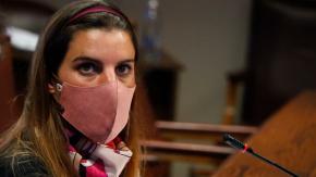 "Estamos ante un privilegio": Consejo para la Transparencia por "telefonazo" de diputada Orsini