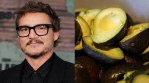 ¿Aguacate o palta? RAE zanja debate en América tras viral protagonizado por Pedro Pascal ¿Aguacate o palta? RAE zanja debate en América tras viral protagonizado por Pedro Pascal