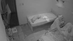 Enfermera le robó argolla de matrimonio a jubilada que cuidaba: fue descubierta y culpó al perro