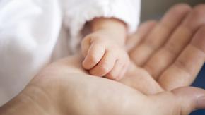 Florida prohíbe el aborto después de las seis semanas de embarazo Florida prohíbe el aborto después de las seis semanas de embarazo