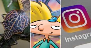 Chinche del Arce, Hey Arnold y "espontáneas" de Instagram: Los T13 Trending de esta semana Chinche del Arce, Hey Arnold y "espontáneas" de Instagram: Los T13 Trending de esta semana