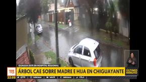 [VIDEO] Árbol cae sobre una madre e hija en Chiguayante