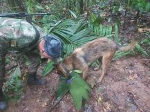Abuelo de niños desaparecidos en selva de Colombia confía en que estén vivos: "(La mayor) es muy inteligente"