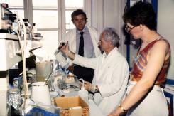 El sida, un ejemplo perfecto de la desinformación científica El sida, un ejemplo perfecto de la desinformación científica