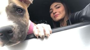 La triste historia de la perrita que murió de pena dos días después del fallecimiento de su dueña