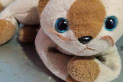 Joven pide ayuda en redes sociales para encontrar peluche perdido en el Metro: "Es demasiado importante para mí" Joven pide ayuda en redes sociales para encontrar peluche perdido en el Metro: "Es demasiado importante para mí"