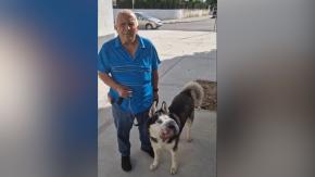 "Fueron tres horas y media de cirugía": Clínica veterinaria salvó a perrito al que nadie quería operar "Fueron tres horas y media de cirugía": Clínica veterinaria salvó a perrito al que nadie quería operar