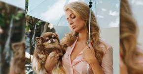 Paris Hilton llora la muerte de una de sus perritas: chihuaha tenía 23 años Paris Hilton llora la muerte de una de sus perritas: chihuaha tenía 23 años