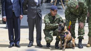 Colombia condecora a la mamá de Wilson, el perro que ayudó en rescate de niños perdidos en selva Colombia condecora a la mamá de Wilson, el perro que ayudó en rescate de niños perdidos en selva