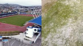 Video se hizo viral: Indignación por pasillo llenos de hongos en el nuevo Estadio de San Antonio Video se hizo viral: Indignación por pasillo llenos de hongos en el nuevo Estadio de San Antonio