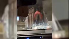 Caballo fue arrastrado por varios metros tras caer de camión en Valparaíso: denuncian que conductor estaba bajo efectos del alcohol Caballo fue arrastrado por varios metros tras caer de camión en Valparaíso: denuncian que conductor estaba bajo efectos del alcohol