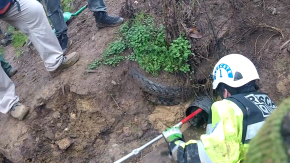 Sistema frontal: El emotivo rescate de Bomberos a un perro atrapado de en una cañería en Quilpué