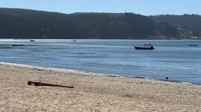 SHOA descarta tsunami en costas de Chile tras sismo de 6,4 en Vanuatu