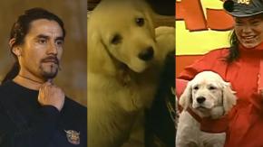 "Coca" Mendoza recuerda al perro "Máster" a 18 años de "La Granja VIP": "Fue el mejor" "Coca" Mendoza recuerda al perro "Máster" a 18 años de "La Granja VIP": "Fue el mejor"