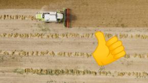 Todo por responder con un emoji: Tribunal determina que agricultor firmó contrato y deberá pagar millonaria multa Todo por responder con un emoji: Tribunal determina que agricultor firmó contrato y deberá pagar millonaria multa