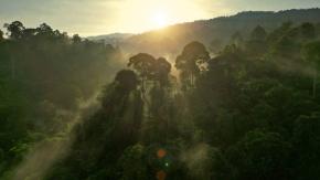 Niños rescatados en selva de Colombia salen del hospital tras un mes de cuidados Niños rescatados en selva de Colombia salen del hospital tras un mes de cuidados
