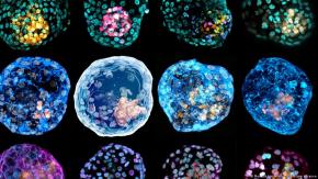 ¿Saldrá el ser humano del futuro de un laboratorio? ¿Saldrá el ser humano del futuro de un laboratorio?