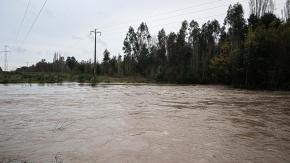 Piden evacuar el sector: Alcaldesa de Molina confirma que se rompieron compuertas de Estero Seco Piden evacuar el sector: Alcaldesa de Molina confirma que se rompieron compuertas de Estero Seco