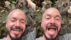 J Balvin causa gran preocupación entre sus seguidores tras ser mordido por un mono J Balvin causa gran preocupación entre sus seguidores tras ser mordido por un mono