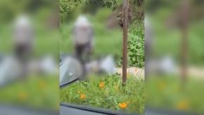 Sujeto amenaza con un cuchillo a estudiante en Quilpué: dramático momento fue captado desde un vehículo Sujeto amenaza con un cuchillo a estudiante en Quilpué: dramático momento fue captado desde un vehículo