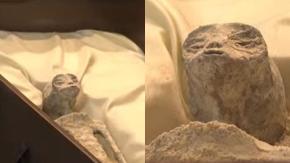 ¿Extraterrestres? Presentan supuestos "cuerpos no humanos" de más de mil años en el congreso de México ¿Extraterrestres? Presentan supuestos "cuerpos no humanos" de más de mil años en el congreso de México