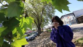 ¿Estás con alergia? Así puedes revisar los niveles de polen en el aire ¿Estás con alergia? Así puedes revisar los niveles de polen en el aire