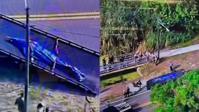 EE.UU: Captan a caimán de casi cuatro metros con cuerpo humano en Florida EE.UU: Captan a caimán de casi cuatro metros con cuerpo humano en Florida