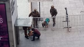 Perro de Carabineros fue agredido por encapuchados en la Alameda: Tiene una contusión en una pata Perro de Carabineros fue agredido por encapuchados en la Alameda: Tiene una contusión en una pata