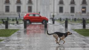 De la tarde más calurosa de la primavera a la lluvia: ¿Cuándo podría precipitar en la zona central?