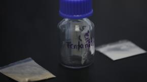Argentino intento ingresar la "Droga Zombie" a Chile: ¿Qué es el fentanilo y porqué es tan peligroso?