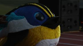 Mira EN VIVO la ceremonia de inauguración de los Juegos Panamericanos Santiago 2023 Mira EN VIVO la ceremonia de inauguración de los Juegos Panamericanos Santiago 2023