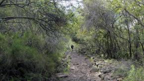 Encuentran muerto a senderista desaparecido en Parque Nacional La Campana de Olmué Encuentran muerto a senderista desaparecido en Parque Nacional La Campana de Olmué