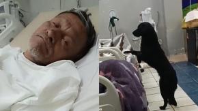Adulto mayor pide que adopten a su perrito tras ser desahuciado: "Deseo que alguien lo quiera" Adulto mayor pide que adopten a su perrito tras ser desahuciado: "Deseo que alguien lo quiera"