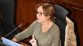 Comisionada experta DC anuncia voto “en contra” de la propuesta del Consejo Constitucional Comisionada experta DC anuncia voto “en contra” de la propuesta del Consejo Constitucional