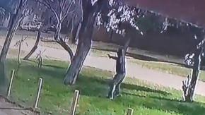 Emboscada, 14 disparos y dos tiradores: Lo que se sabe del caso de la mujer baleada en Peñalolén