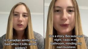 Canadiense se hace viral al confesar su odio por las arañas de Chile: "Pude haber muerto en el baño"