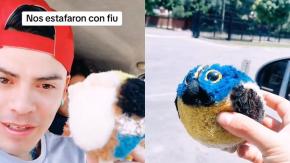“Tiene olor a tempera”: Joven se hace viral por comprar un Fiu falso