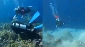 VIDEO | Buzos captan impactante momento en que se produce un terremoto bajo el mar VIDEO | Buzos captan impactante momento en que se produce un terremoto bajo el mar