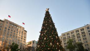 Según la tradición: ¿Qué día se arma el árbol de Navidad y cuándo se quita? Según la tradición: ¿Qué día se arma el árbol de Navidad y cuándo se quita?