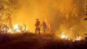Aumenta amenaza de los incendios forestales en Latinoamérica Aumenta amenaza de los incendios forestales en Latinoamérica