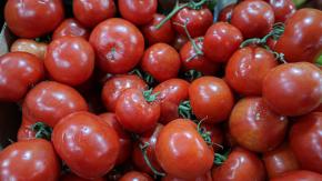 El tomate a menos de mil pesos y otras buenas noticias para el bolsillo El tomate a menos de mil pesos y otras buenas noticias para el bolsillo