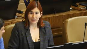 Catalina Pérez: "No he recibido ningún traspaso de parte de Democracia Viva" Catalina Pérez: "No he recibido ningún traspaso de parte de Democracia Viva"