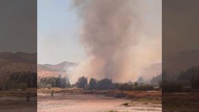 "Por amenaza a viviendas": Decretan alerta roja por incendio forestal en San Bernardo "Por amenaza a viviendas": Decretan alerta roja por incendio forestal en San Bernardo