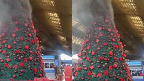 Desalojo a vendedores ambulantes en Estación Central terminó con incidentes: árbol de Navidad resultó quemado